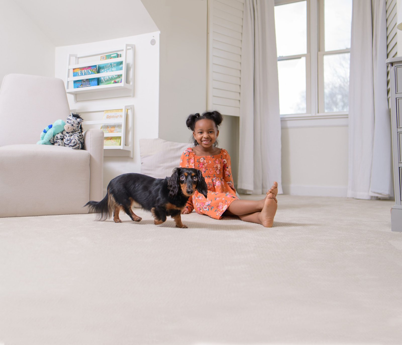 Pet urine odor removal on carpet using Chem-Dry products